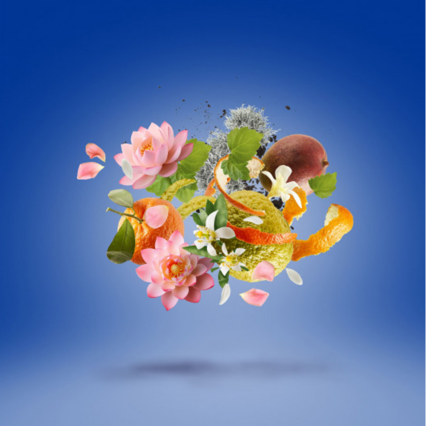 Alternate Image of Xerjoff Torino 24 EDP (50 ml)