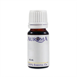 Primary image of Basil Essential Oil