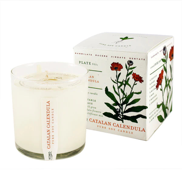 Kobo Assorted Plant the Box Candle