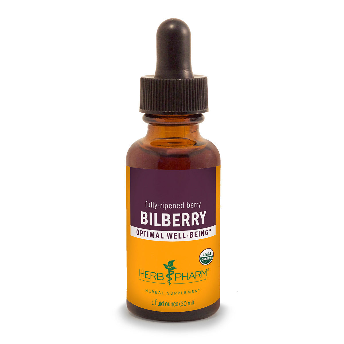 Primary image of Bilberry Extract