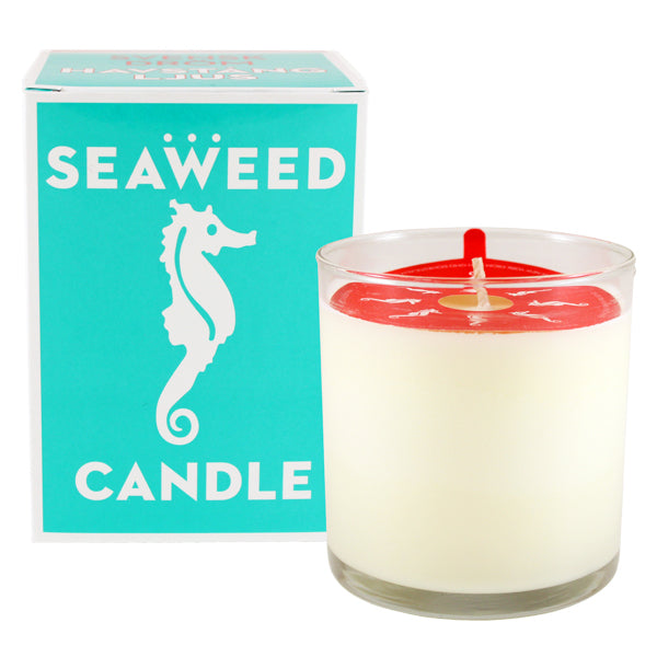 Primary image of Seaweed Candle