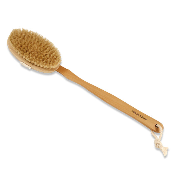 Primary image of Long Handle Body Brush
