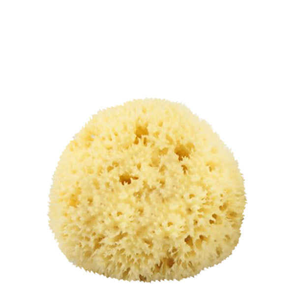The Sponge Company Natural Sea Sponge #1 – Smallflower