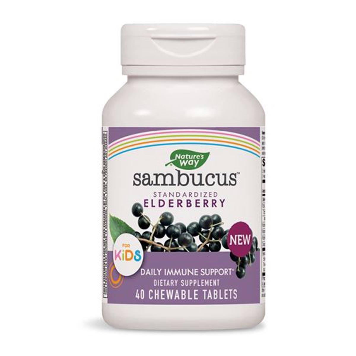 Primary image of Sambucus Kid's Chewable Tablets