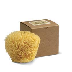 Primary image of Baudelaire Wool Sponge 4.5 4.5 inches Sponge