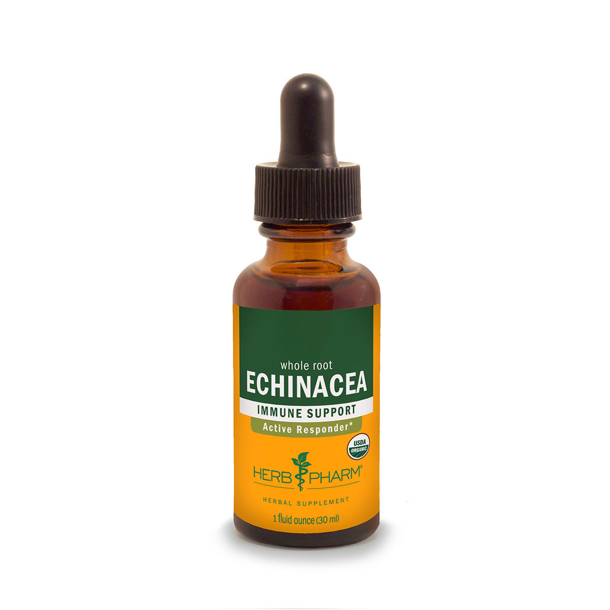 Primary image of Echinacea Extract