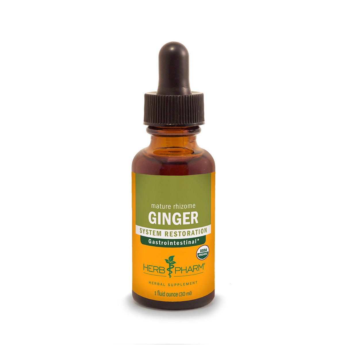 Primary image of Ginger Extract