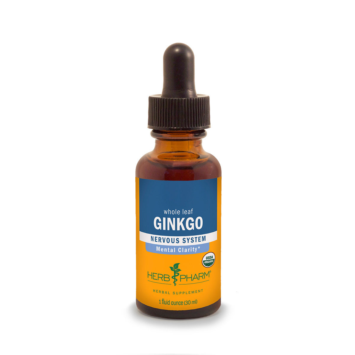 Primary image of Ginkgo Extract