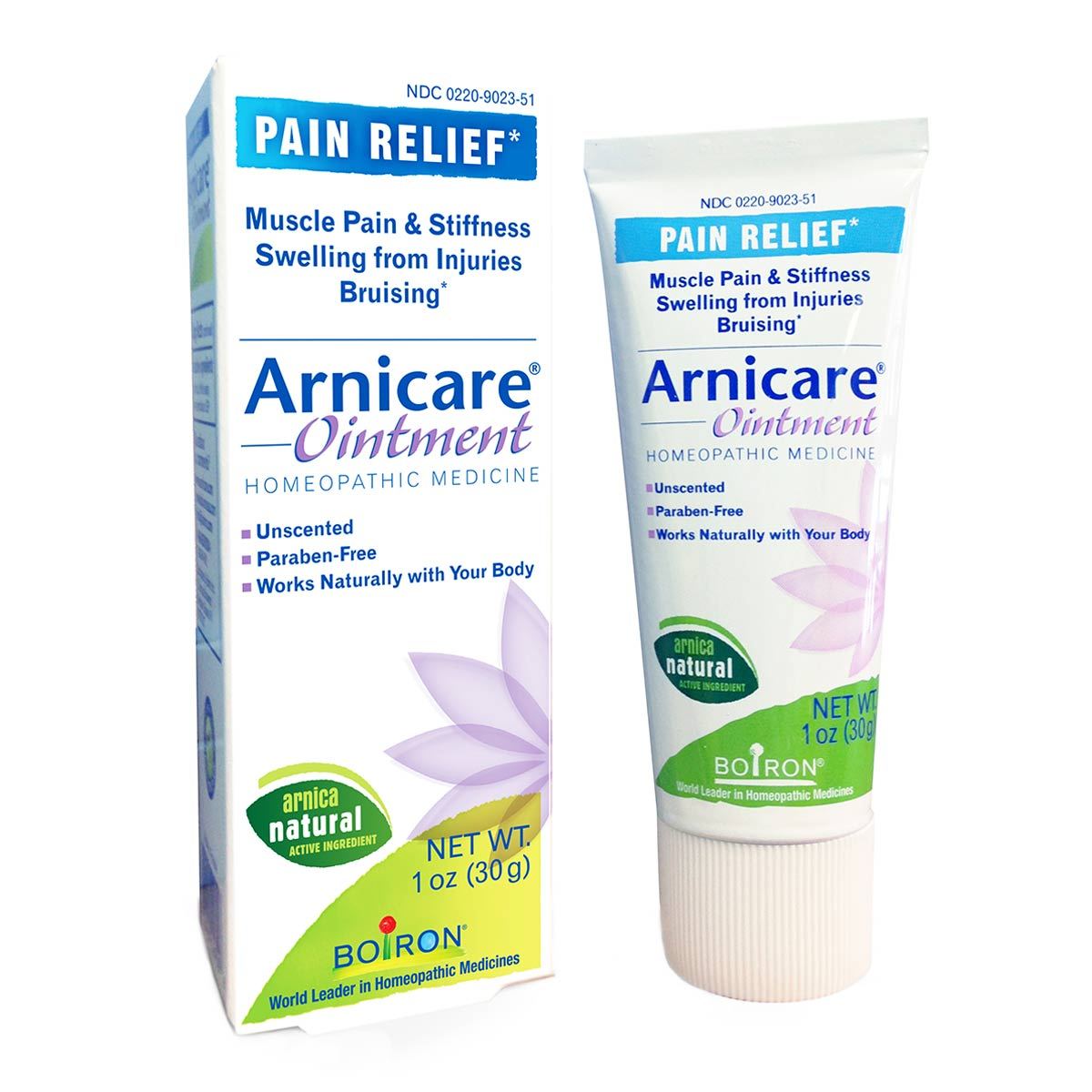 Primary image of Arnica Ointment