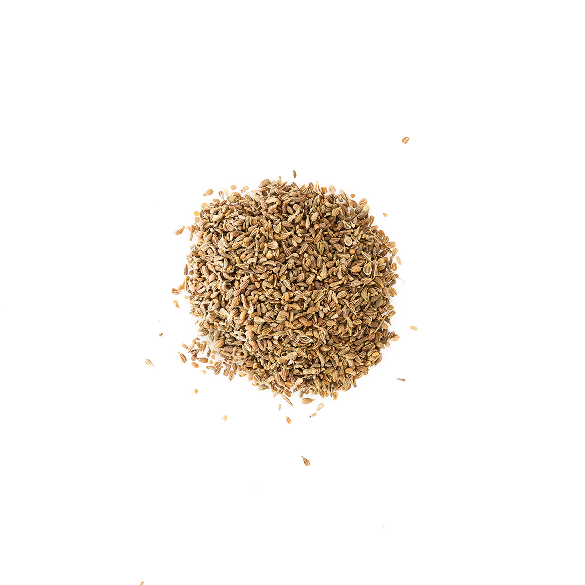 Primary Image of Anise Seed (Pimpinella anisum)