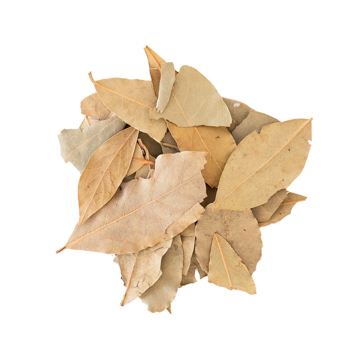Primary Image of Bay Leaves (Laurus Nobilis)