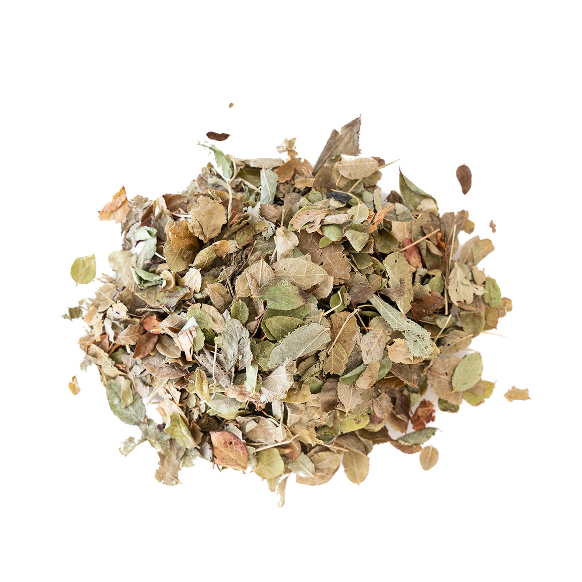 Primary image of Blueberry Leaves - Huckleberry (Vaccinium myrtillus)