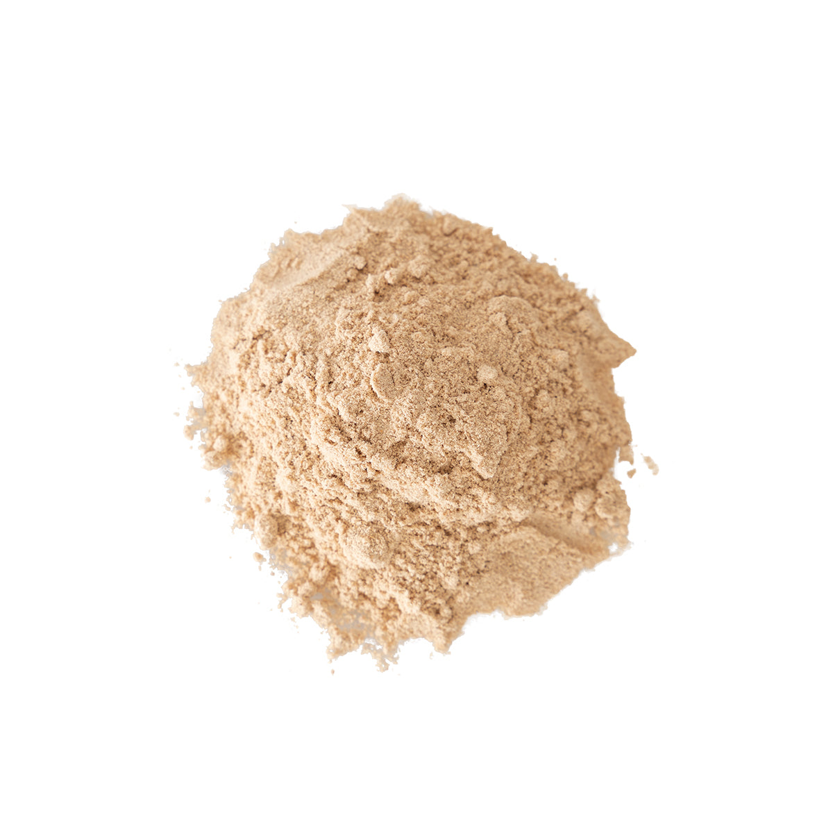 Primary Image of Calamus Root - Powder (Acorus calamus)