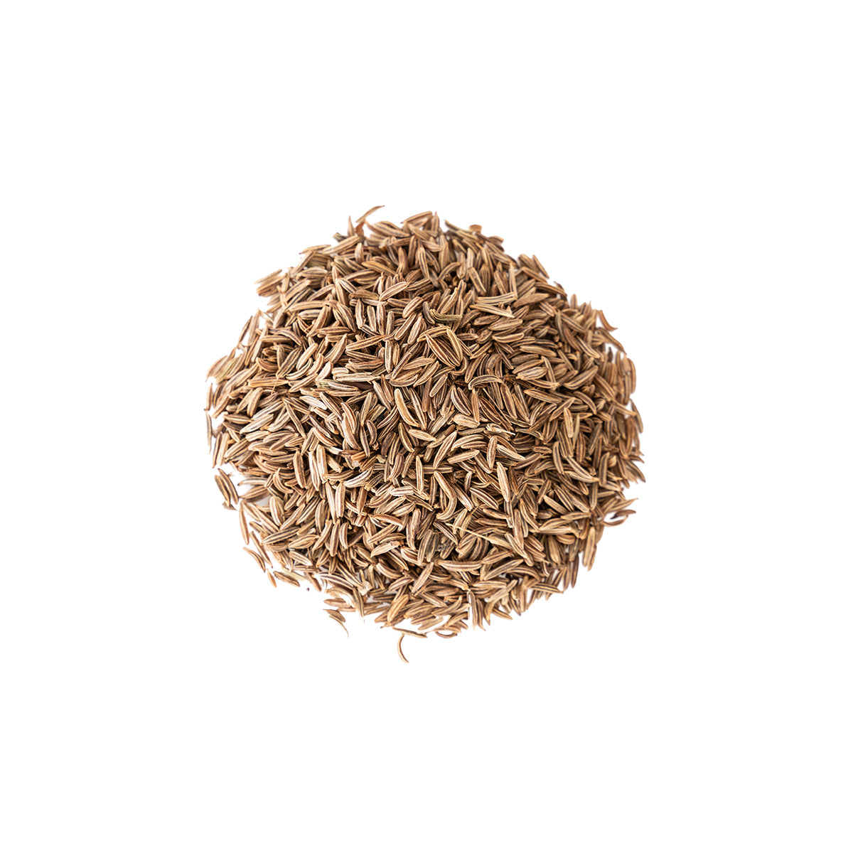 Primary image of Caraway Seed - Whole (Carum carvi)