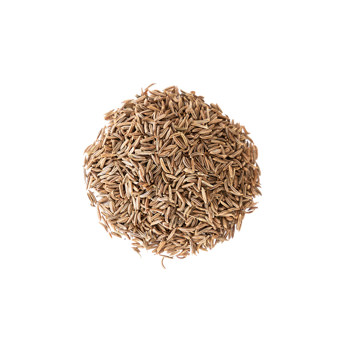 Smallflower Caraway Seed - Whole (Carum carvi) (4 oz) #11237