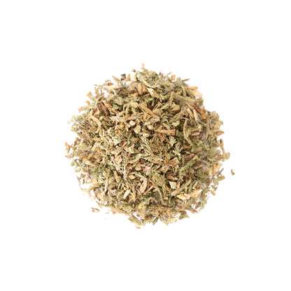 Top view of Common Club Moss showcasing dried herb pieces on a white background