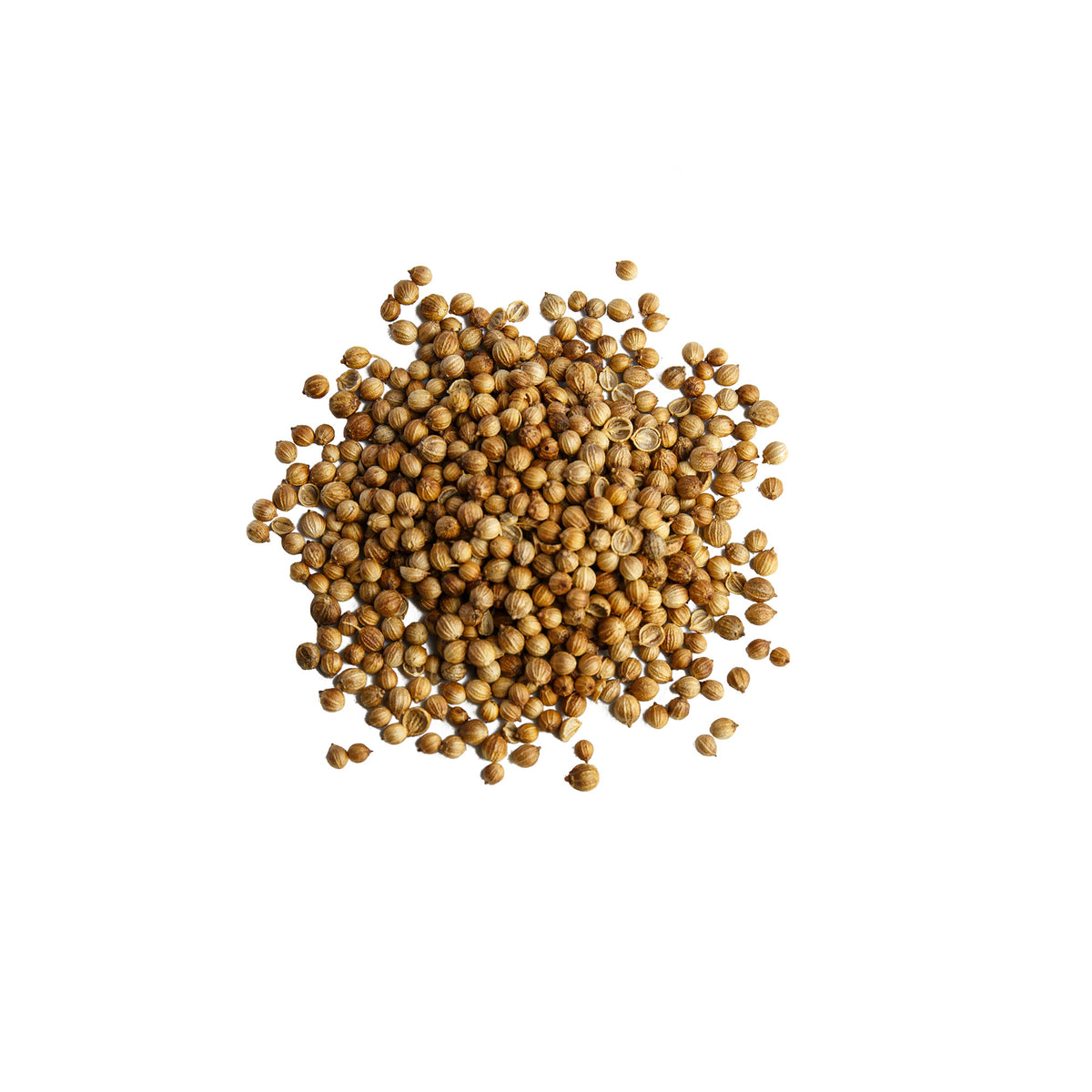Primary Image of Coriander Seed