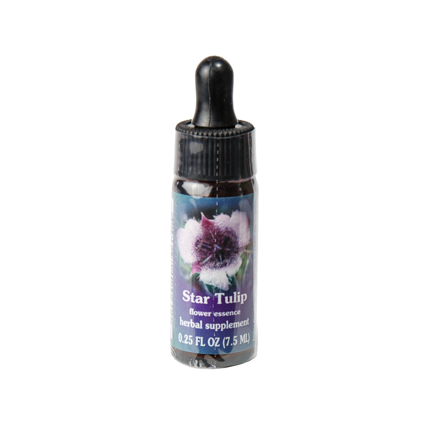 Primary image of Star Tulip 