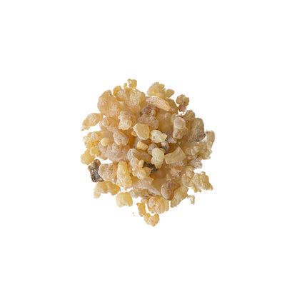 Primary Image of Frankincense (Gum Olibanum) Tears