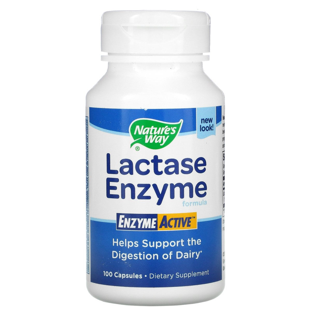 Primary image of Lactase Enzyme