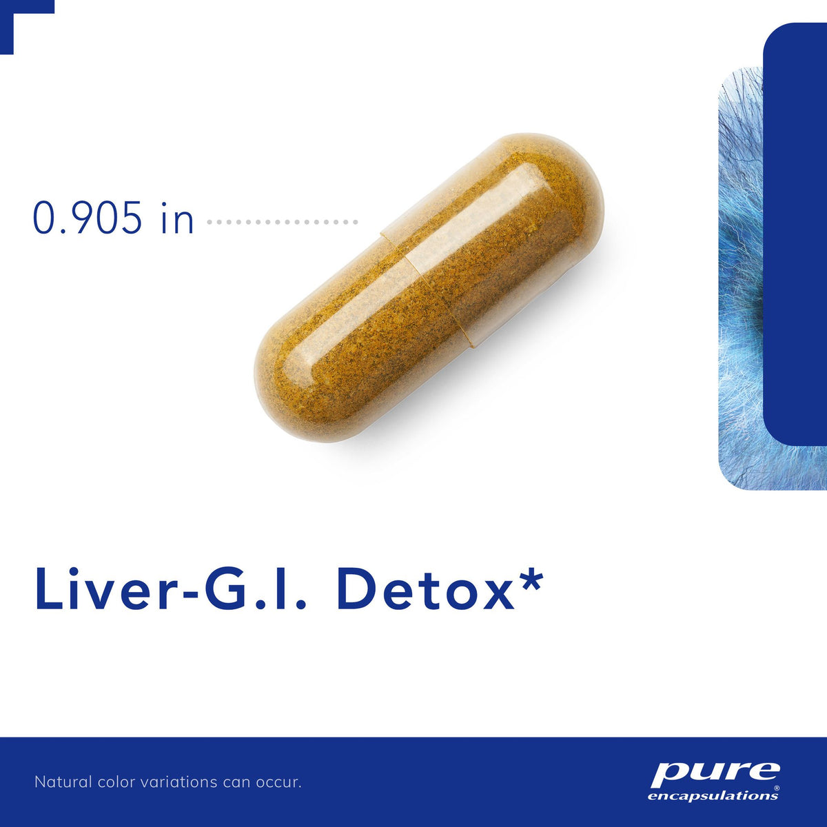 Pure Encapsulations Liver G.I. Detox Capsules (60 count) #10085805
