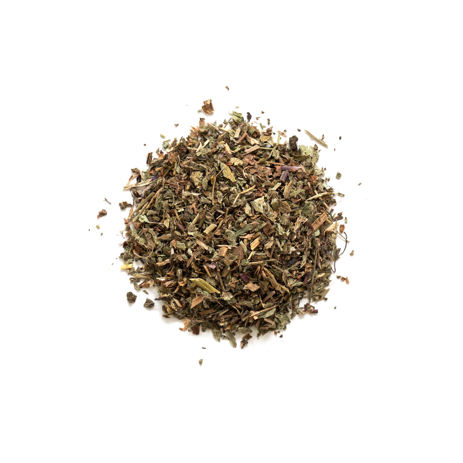 Primary Image of Speedwell (Veronica arvensis)