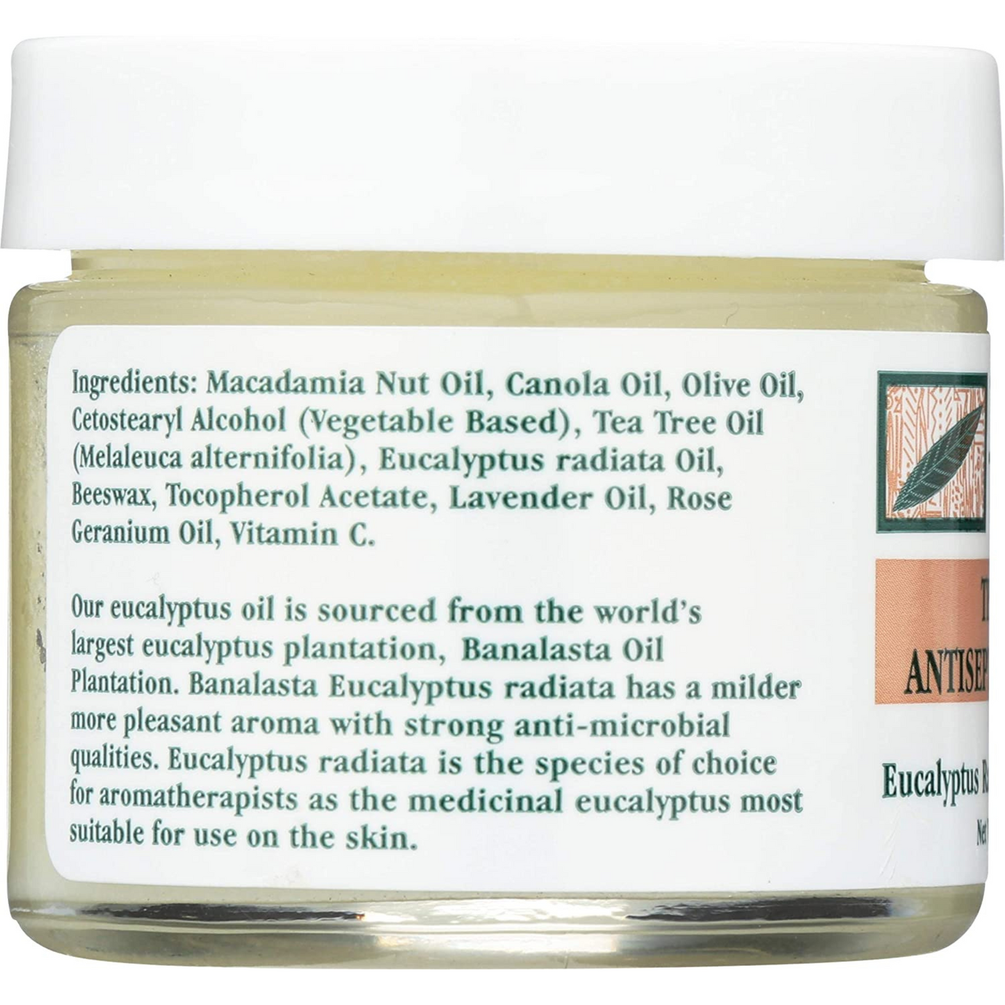 Tea Tree Therapy Antiseptic Ointment (2 oz) #10085214