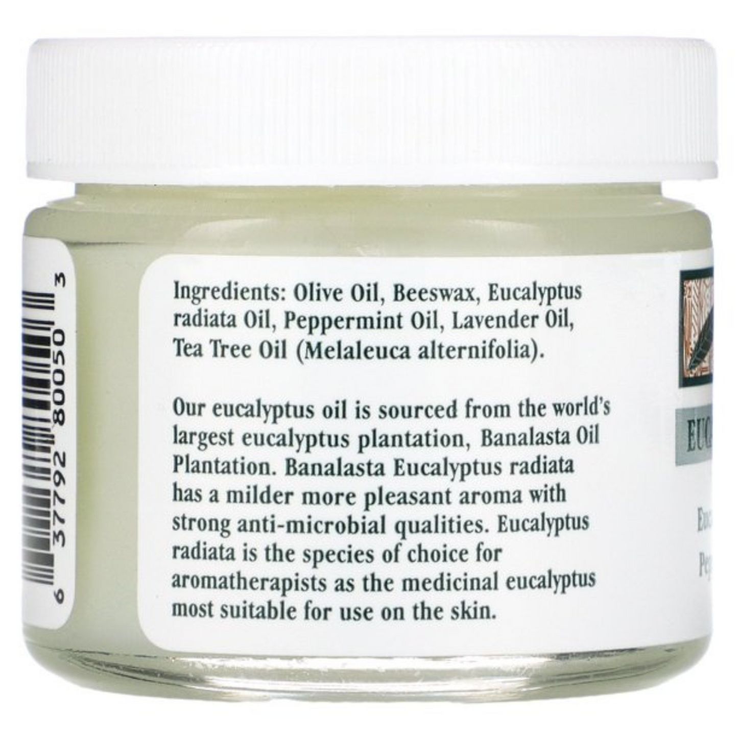 Tea Tree Therapy Eucalyptus Chest Rub (2 oz) #10085215
