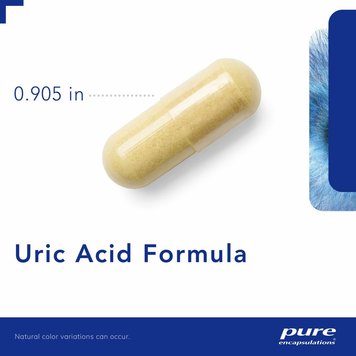 Pure Encapsulations Uric Acid Formula Capsules (120 count) #10085809