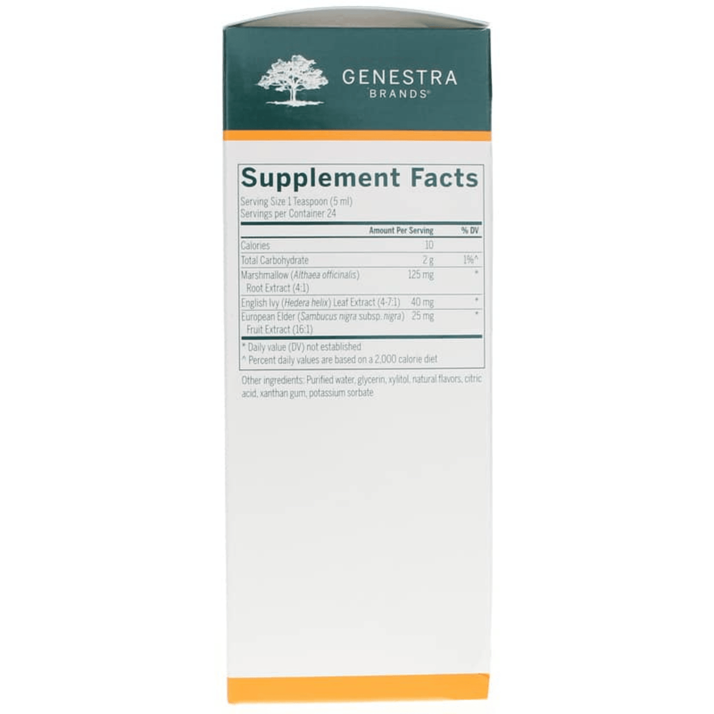 Primary Image of English Ivy Syrup Supplement Facts