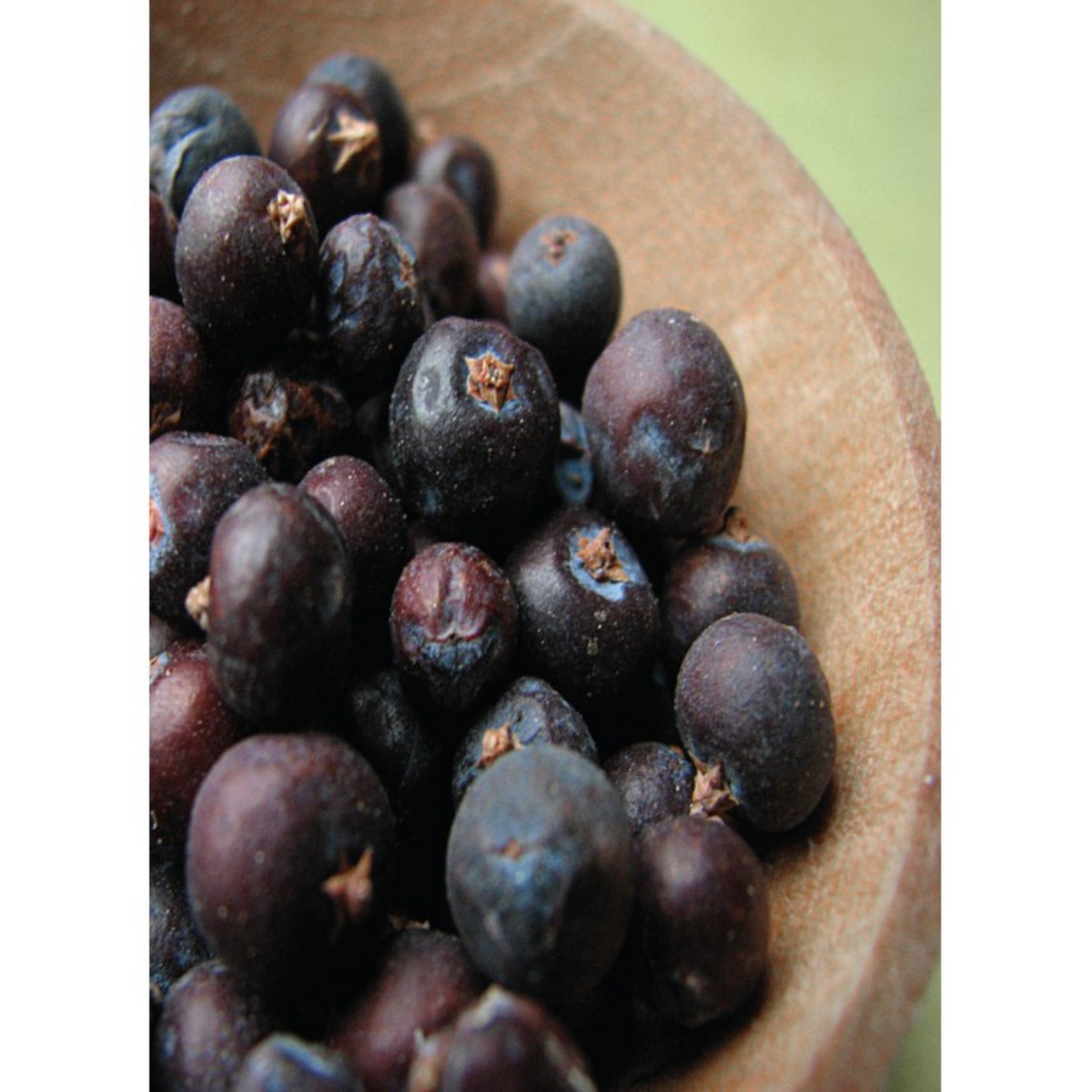 Auroma Juniper berry Extra Essential Oil (0.33 fl oz) #10207