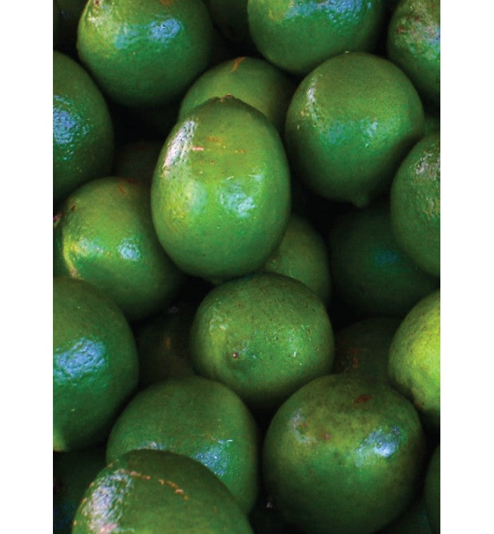 Auroma Lime-Cold Pressed Essential Oil (0.33 fl oz) #10223