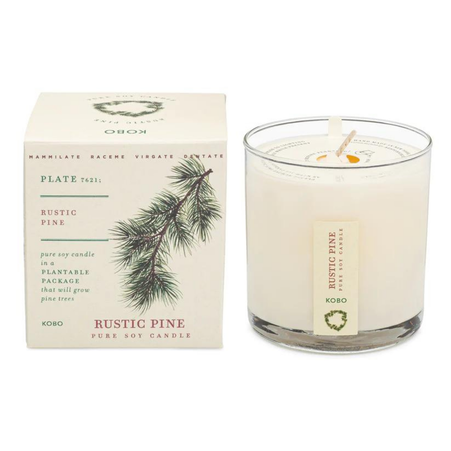 Primary Image of Rustic Pine Plant The box Candle